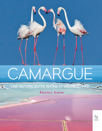 Camargue, une histoire en tre Rhône et Méditerranée