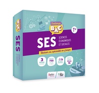 Sciences Economiques et Sociales, Jeu Challenge BAC