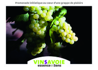 VinSavoie, essence et sens