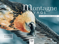 Montagne sauvage