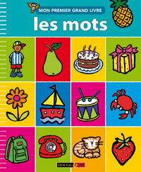 MON PREMIER GRAND LIVRE LES MOTS