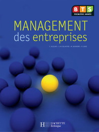 MANAGEMENT DES ENTREPRISES, BTS 1RE ANNEE, LIVRE DE L'ELEVE, ED. 2008