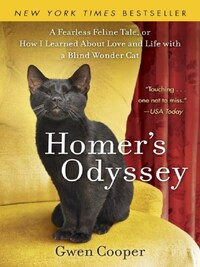 HOMER'S ODYSSEY