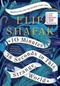 10 minutes 38 seconds in this strange world