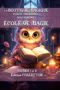 BOUTIQUE MAGIQUE FORCE THÉLINDRA À OUVRIR UNE ÉCOLE DE MAGIE (LA) T1 T2 T3 DYS