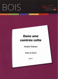 DANS UNE CONTREE CELTE --- FLUTE