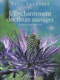 L'enchantement des fleurs sauvages