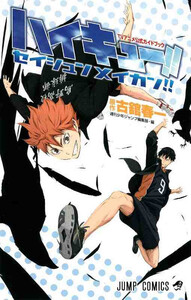 HAIKYU!! TV ANIME OFFICIAL GUIDEBOOK - SEISHUN MEIKAN (ARTBOOK VO JAPONAIS)