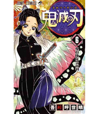 DEMON SLAYER 6 (VO JAPONAIS)