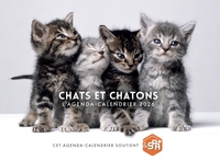 Agenda - Calendrier Chats et chatons 2026
