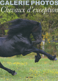 Coffret ma galerie de photos chevaux d'exception