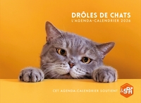 Agenda - Calendrier Drôles de chats 2026