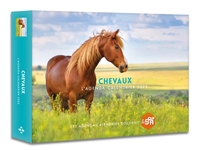 AGENDA - CALENDRIER CHEVAUX 2025