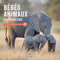 Calendrier mural Bébés Animaux 2026