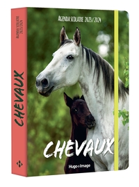 AGENDA SCOLAIRE CHEVAUX 2023 - 2024