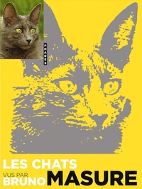 LES CHATS VU PAR BRUNO MASURE