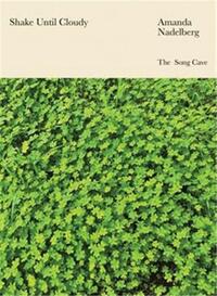 Amanda Nadelberg Shake Until Cloudy /anglais