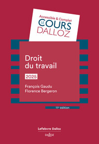 DROIT DU TRAVAIL 2025. 11E ED.