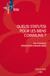 QUEL(S) STATUT(S) POUR LES BIENS COMMUNS ?