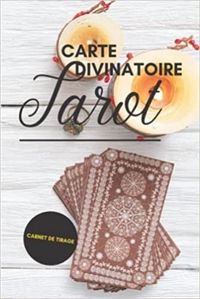 TAROT DIVINATOIRE CARTES - CARNET DE TIRAGE - JOURNAL DE TIRAGES POUR ANALYSER VOS PREDICTIONS  CAR