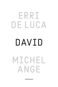 David, Michel-Ange