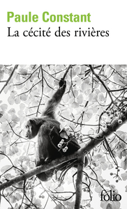 LA CECITE DES RIVIERES