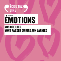 SELECTION EMOTIONS - AUDIO