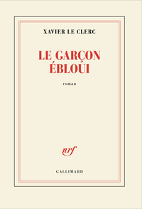 Le garçon ébloui