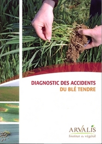 DIAGNOSTIC DES ACCIDENTS DU BLE TENDRE