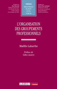 L'ORGANISATION DES GROUPEMENTS PROFESSIONNELS - VOL88