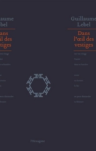 DANS L'OEIL DES VESTIGES