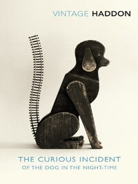 Curious incident of the dog in the night-time, the (vintage classics)