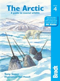 ARCTIC