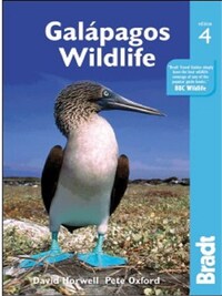 GALAPAGOS WILDLIFE