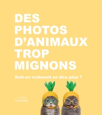 Des photos d'animaux trop mignons