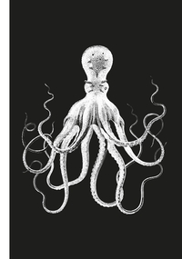 POULPE - NOUVELLE EDITION