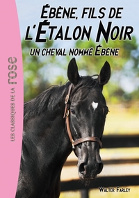 L'ETALON NOIR - T22 - L'ETALON NOIR 22 - UN CHEVAL NOMME EBENE