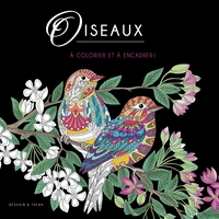 OISEAUX - A COLORIER ET A ENCADRER !