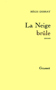LA NEIGE BRULE