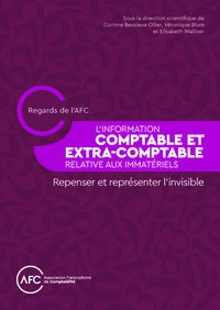 L'Information comptable et extra-comptable relative aux immatériels