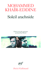 SOLEIL ARACHNIDE