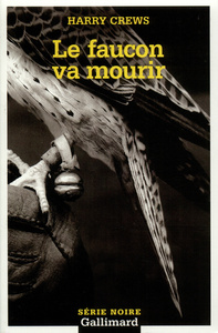 LE FAUCON VA MOURIR
