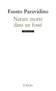 NATURE MORTE DANS UN FOSSE