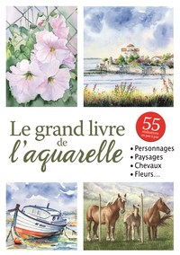 GRAND LIVRE DE L'AQUARELLE (LE)