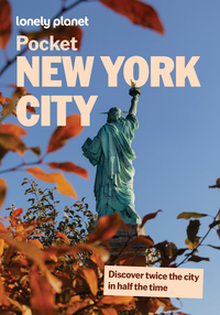 Pocket New York City 11ed -anglais-