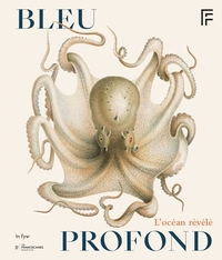 BLEU PROFOND