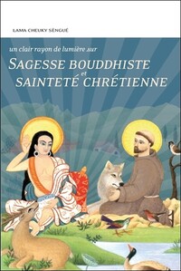 Sagesse bouddhiste et sainteté chrétienne - Un clair rayon de lumière sur