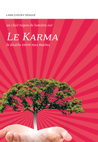 LE KARMA - LE DESTIN ENTRE NOS MAINS