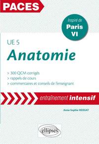 UE5 - Anatomie