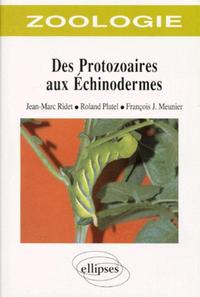 Zoologie des protozoaires aux échinodermes